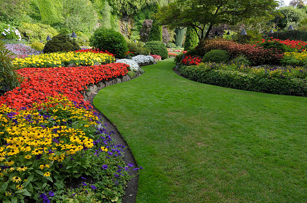 landscaping garden